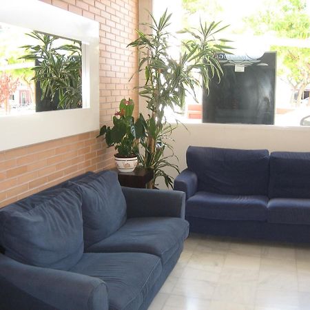 Hostal Madruga Έλτσε Εξωτερικό φωτογραφία