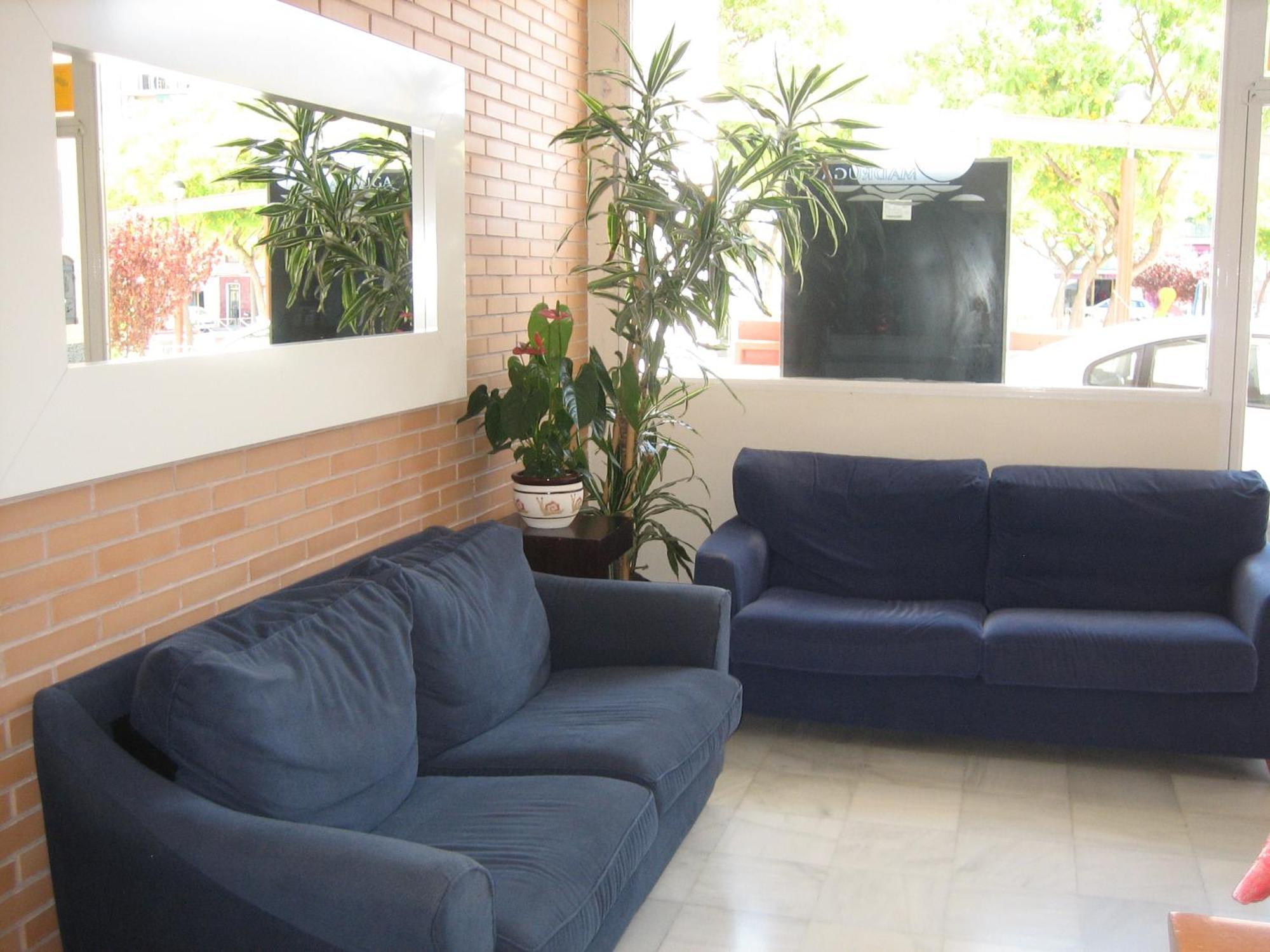 Hostal Madruga Έλτσε Εξωτερικό φωτογραφία