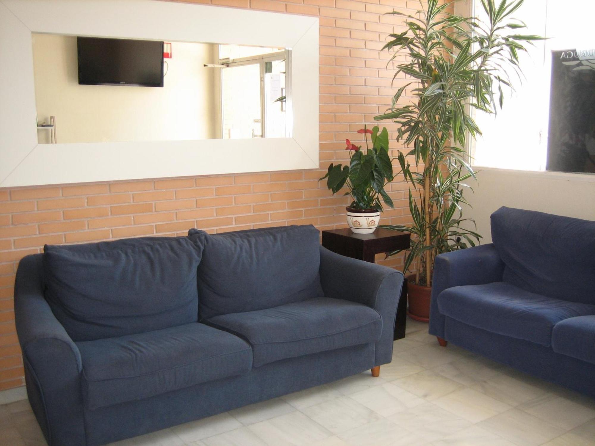 Hostal Madruga Έλτσε Εξωτερικό φωτογραφία